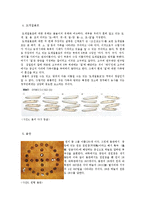 [한국생활문화] 윷놀이-6