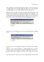[사이버 커뮤니케이션] 구글이 한국에서 성공하지 못하는 이유-15
