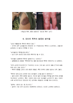 [결혼학개론] 데이트폭력-13
