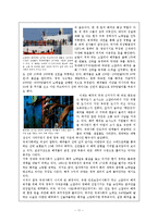 [국제기구론] 아프리카경제발전과 국제협력-14
