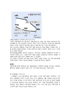 [환경] 멸종위기동물 밀렵 단속 현황 및 문제점-8