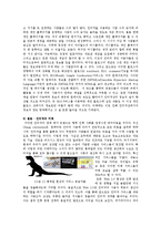 인터넷의 미래 시나리오-4