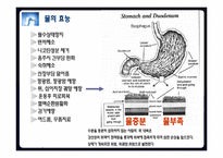 [운동과 영양] 수분섭취 전략-4