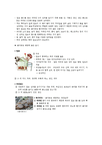 골다공증 레포트-4