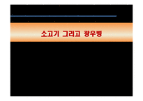 [영양] 소고기 그리고 광우병-1