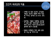 [영양] 소고기 그리고 광우병-3
