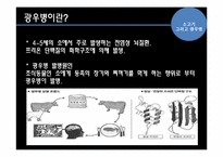 [영양] 소고기 그리고 광우병-5