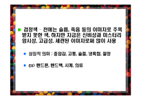 [소비자 행동] 색채 트랜드-16