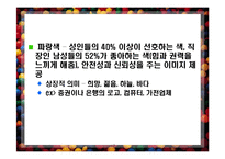 [소비자 행동] 색채 트랜드-17