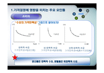 [마케팅] 가격의 결정과 관리-17