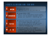 [mis] 전문가 시스템(ES)-12