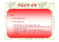 [희곡] 고도를 기다리며 작품분석-13