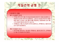 [희곡] 고도를 기다리며 작품분석-14