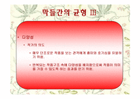[희곡] 고도를 기다리며 작품분석-15