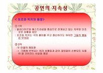 [희곡] 고도를 기다리며 작품분석-19