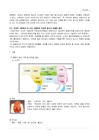 [조리과학] 육류의 조리(장조림 만들기)-4