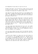 [독후감] 코맥 매카시의 더로드(THE ROAD)에 대한 독후감(A+서평)-3