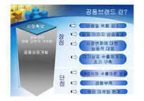[경영전략] 가파치 전략적제휴-5