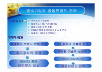 [경영전략] 가파치 전략적제휴-7