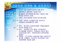 [경영전략] 가파치 전략적제휴-9