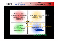 [마케팅전략] 한스킨(Hanskin) BB크림 성공 사례 분석-6
