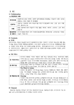 [인터넷마케팅] 아시아나 항공의 인터넷 마케팅-6