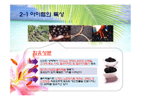 [사업계획서] 웰빙 음료 사업계획서-11