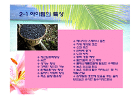 [사업계획서] 웰빙 음료 사업계획서-14