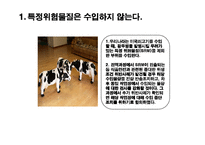미국 쇠고기 수입자유화 찬성에 대한 논의-6