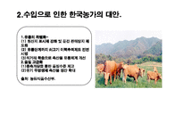 미국 쇠고기 수입자유화 찬성에 대한 논의-11