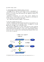 [지역문화] 중국 칭다오에서의 한국 중소기업 철수, 배경, 원인, 대책-20