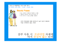 [프로모션 기획서] 엘라스틴 프로모션광고기획서-12