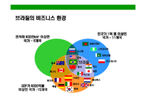 [브라질의 이해와 시장 진출전략(Brazil Market Access Strategy)] 브라질의 이해와 시장 진출전략(Brazil Market Access Strategy)-3