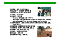 [브라질의 이해와 시장 진출전략(Brazil Market Access Strategy)] 브라질의 이해와 시장 진출전략(Brazil Market Access Strategy)-4