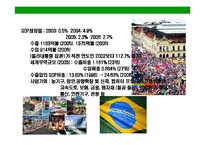 [브라질의 이해와 시장 진출전략(Brazil Market Access Strategy)] 브라질의 이해와 시장 진출전략(Brazil Market Access Strategy)-5