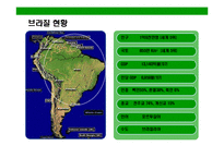 [브라질의 이해와 시장 진출전략(Brazil Market Access Strategy)] 브라질의 이해와 시장 진출전략(Brazil Market Access Strategy)-6