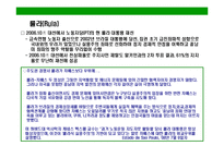 [브라질의 이해와 시장 진출전략(Brazil Market Access Strategy)] 브라질의 이해와 시장 진출전략(Brazil Market Access Strategy)-8