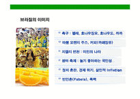 [브라질의 이해와 시장 진출전략(Brazil Market Access Strategy)] 브라질의 이해와 시장 진출전략(Brazil Market Access Strategy)-12