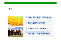 [브라질의 이해와 시장 진출전략(Brazil Market Access Strategy)] 브라질의 이해와 시장 진출전략(Brazil Market Access Strategy)-15