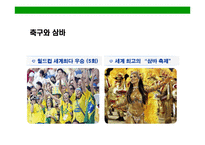 [브라질의 이해와 시장 진출전략(Brazil Market Access Strategy)] 브라질의 이해와 시장 진출전략(Brazil Market Access Strategy)-20