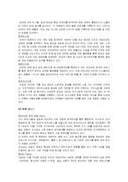 [경영학] [전략경영론]인터넷포털 No.1 `NHN`의 경영전략 분석 및 향후전망(A+리포트)-3