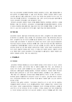 [경영학] [전략경영론]인터넷포털 No.1 `NHN`의 경영전략 분석 및 향후전망(A+리포트)-8