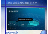 삼성, 그 성공과 문제점-7