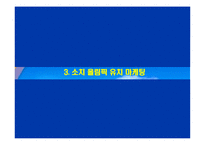 [마케팅] 평창 동계올림픽 마케팅 실패 사례-13