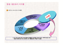 [마케팅전략] THEFACESHOP(더페이스샵) IMC 전략 계획-19