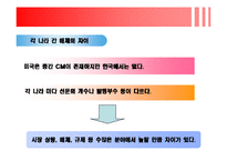 [국제마케팅] 국제광고 조사와 국제광고 목표설정-4
