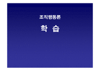 [조직행동론] 학습-1