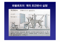 [조직행동론] 학습-6