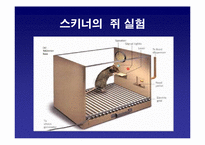 [조직행동론] 학습-8