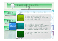 [조직론] 삼성전자 조직문화, 조직구조-11
